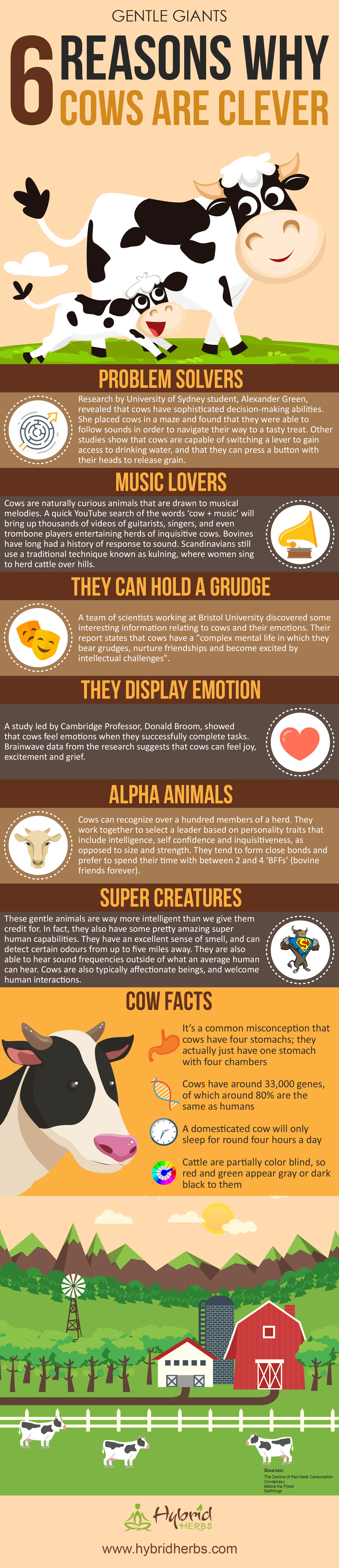 Gentle Giants: Six Reasons Why Cows are Clever - hybridherbs